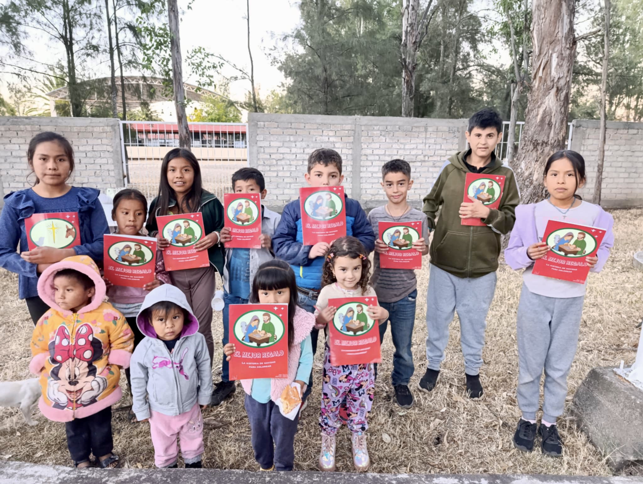Project activity in Mexico, photo 3.